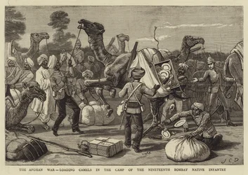 Der Afghanische Krieg, Kamele beladen im Lager der Neunzehnten Bombay Native Infantry